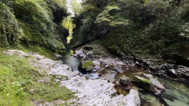 Río limpio en pintoresco cañón — Vídeos de Stock