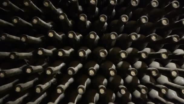 Planken met flessen in wijnkelder — Stockvideo