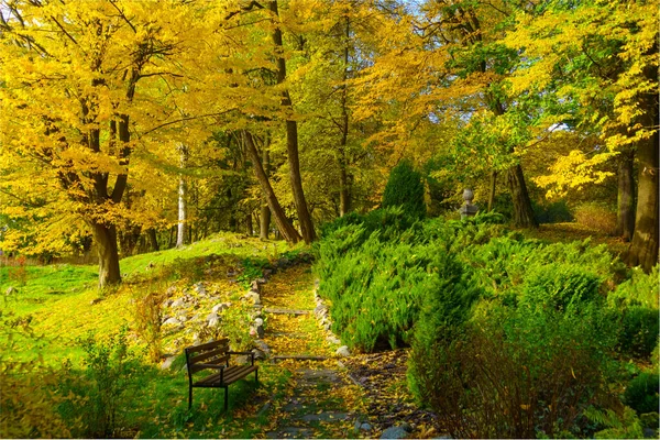 Path and bench in autumn park — Stock Photo, Image