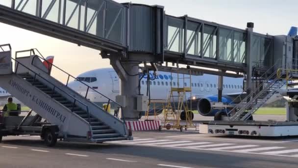 Flughafenpersonal bereitet Flugzeug auf Flug vor — Stockvideo