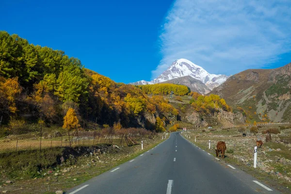 Strada attraverso le montagne in autunno — Foto Stock