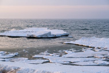 Denizde kuşlarla buzlar yüzüyor.