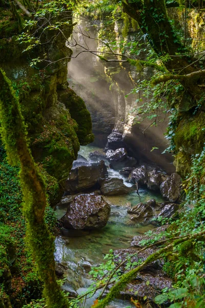 Grön ravin med ren flod — Stockfoto