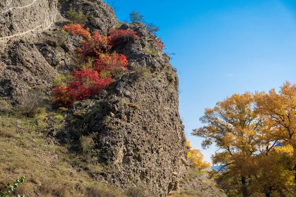 Stok górski jesienią — Zdjęcie stockowe