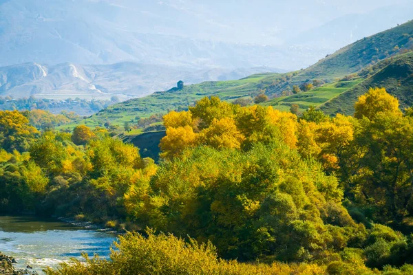 Dağ nehrinin kıyısındaki sarı çalılar