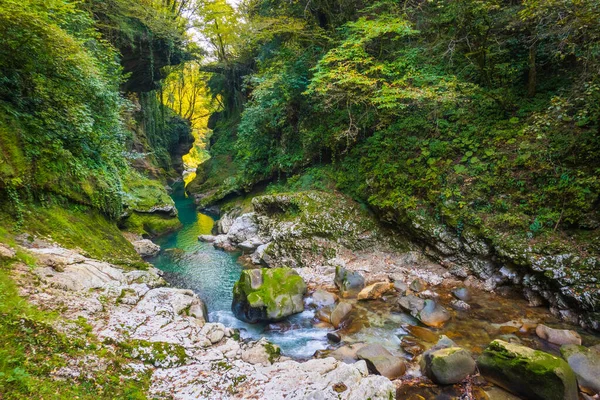 Clean brook flowing through lush terrain — Stock Photo, Image