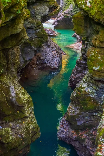 Green ravine with clean river — Stockfoto