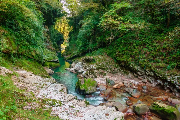 Clean brook flowing through lush terrain — Stockfoto