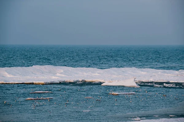 Témpanos con aves en el mar —  Fotos de Stock