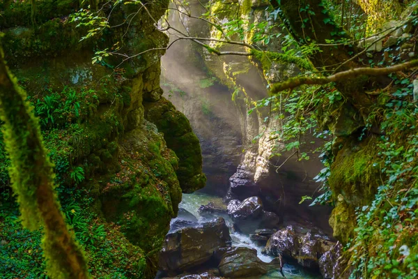 清澈的河流构成的绿色峡谷 — 图库照片