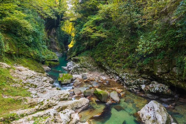 Clean brook flowing through lush terrain — Zdjęcie stockowe