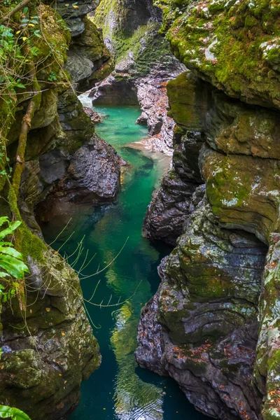 清澈的河流构成的绿色峡谷 — 图库照片