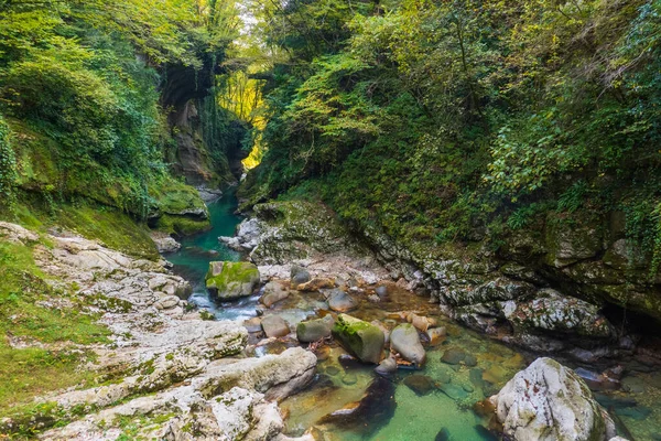 Clean brook flowing through lush terrain 스톡 이미지