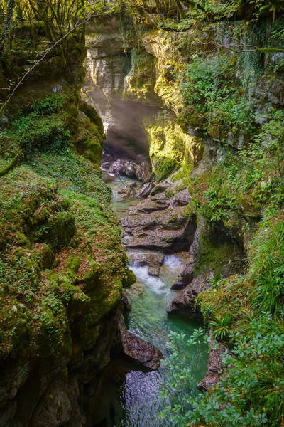 清澈的河流构成的绿色峡谷 — 图库照片