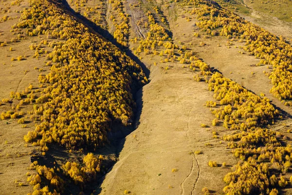 秋晴れの山斜面 ロイヤリティフリーのストック写真