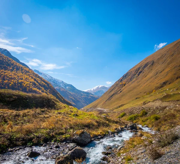 Швидкий Потік Чистою Водою Тече Зеленій Долині Поблизу Гірського Хребта — стокове фото
