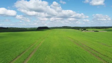 Uçsuz bucaksız tarlalarda yetişen yeşil ekinlerin drone görüntüsünü tarlalardaki bulutlu mavi gökyüzüne doğru eğ