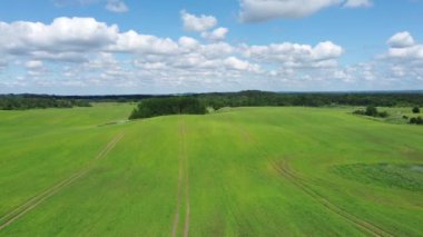 Uçsuz bucaksız tarlalarda yetişen yeşil ekinlerin drone görüntüsünü tarlalardaki bulutlu mavi gökyüzüne doğru eğ