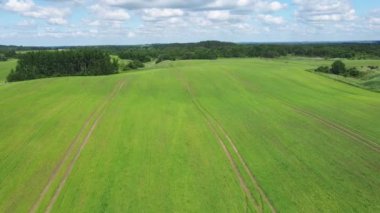 Uçsuz bucaksız tarlalarda yetişen yeşil ekinlerin drone görüntüsünü tarlalardaki bulutlu mavi gökyüzüne doğru eğ