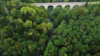 Yukarıdan, kırsal bölgedeki yeşil ormanlık alanda demiryolu köprüsünün altından akan dar nehir manzarası.