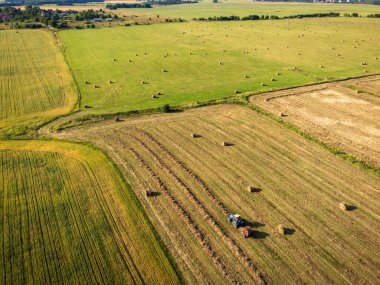 Hava aracının mavi traktör görüntüsü tarım alanındaki hasattan sonra saman toplama ve yuvarlama güneşli yaz gününde tarım arazisinde dosyalanır.
