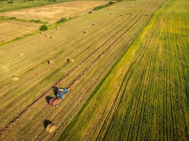 Hava aracının mavi traktör görüntüsü tarım alanındaki hasattan sonra saman toplama ve yuvarlama güneşli yaz gününde tarım arazisinde dosyalanır.