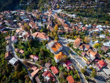 Gürcistan 'ın Sighnaghi şehrinde sonbahar günü yemyeşil ağaçların arasında bulunan kırmızı çatılı evlerin insansız hava aracı görüntüsünden.