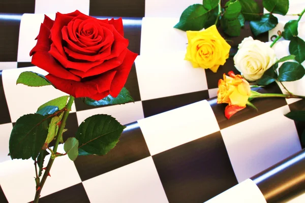 Rose - natürmort — Stok fotoğraf