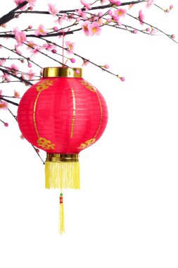 chinse Yılbaşı Dekorasyonu
