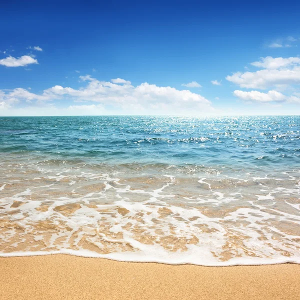 Beach and tropical sea — Stock Photo, Image