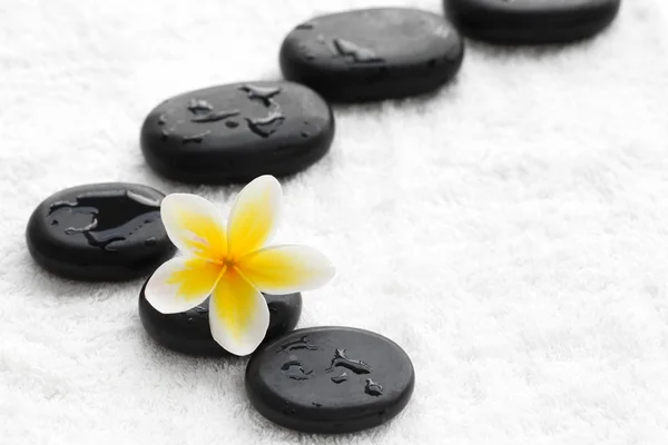 Zen stones with frangipani flower — Stock Photo, Image