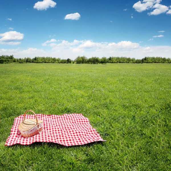 Szabadtéri piknikező — Stock Fotó