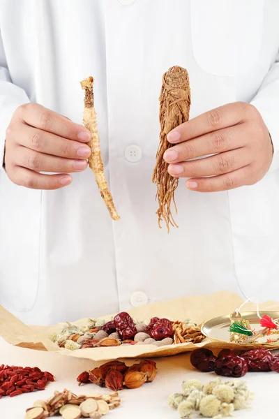 Médico mostrando medicina tradicional chinesa à base de plantas . — Fotografia de Stock