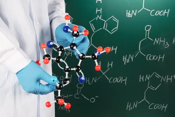 科学家展示分子模型 — 图库照片