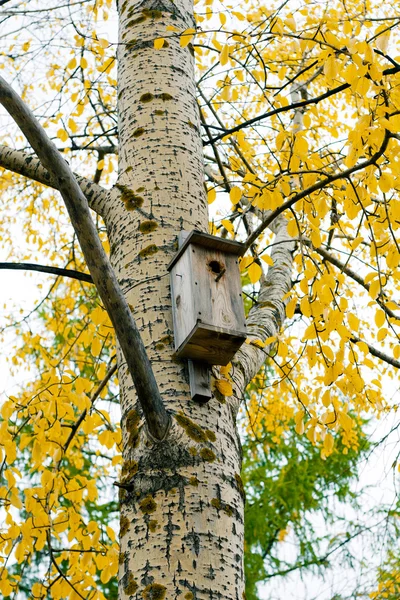 Starling-House — Foto Stock