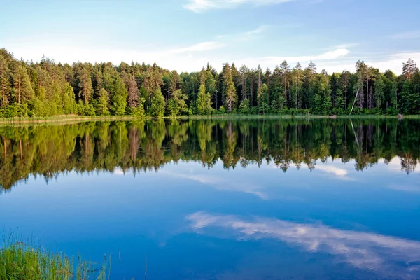 Göl ve orman Stok Fotoğraf