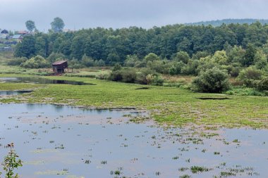 Marsh ve Köyü