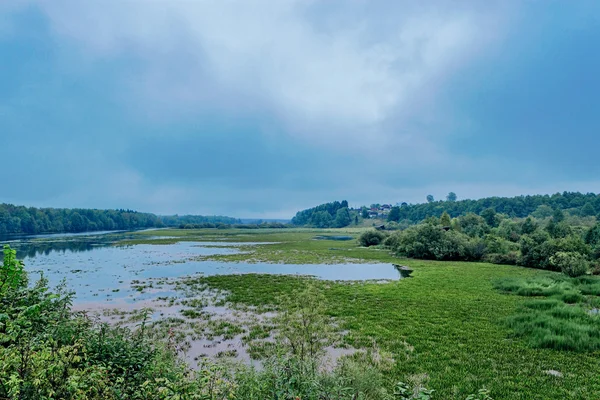 Palude — Foto Stock