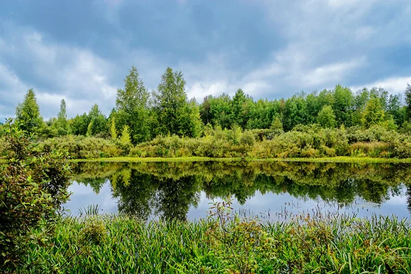 Marshland — Stock Photo, Image