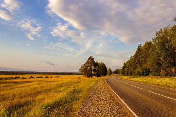 Forest road Royalty Free Stock Photos