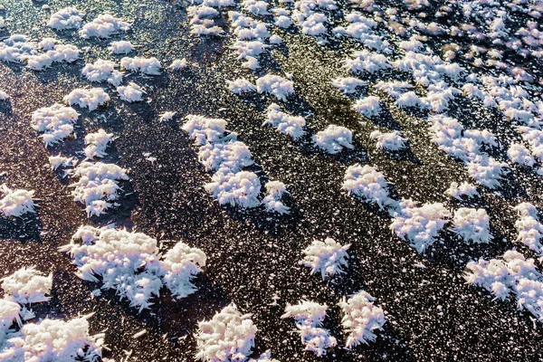 Κοντινό Πλάνο Των Λουλουδιών Παγετού Στην Επιφάνεια Του Μαύρου Πάγου Royalty Free Φωτογραφίες Αρχείου