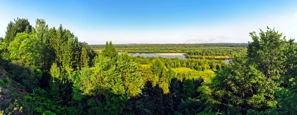 화창 한 여름날, 숲 과강의 전경 — 스톡 사진