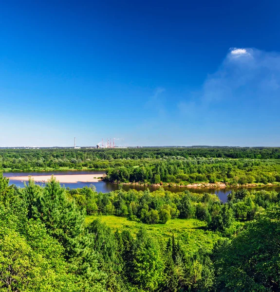 Vista da floresta e do rio em um dia ensolarado de verão — Fotografia de Stock