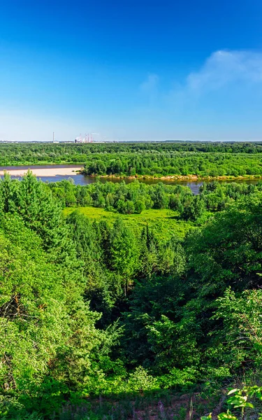 Вид на ліс і річку в сонячний літній день — стокове фото