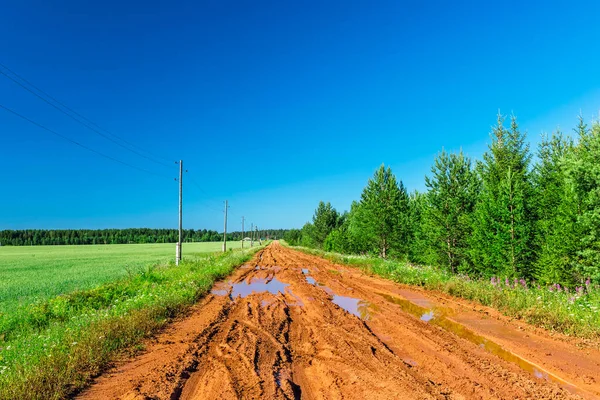 Dirt road in a field and a forest on a sunny summer day — Fotografia de Stock