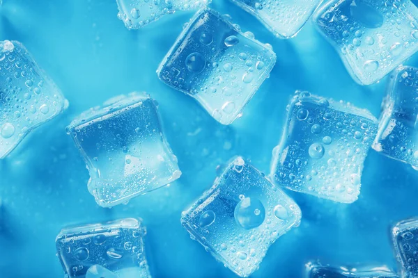 Lots of ice cubes with water drops scattered on a blue background top view