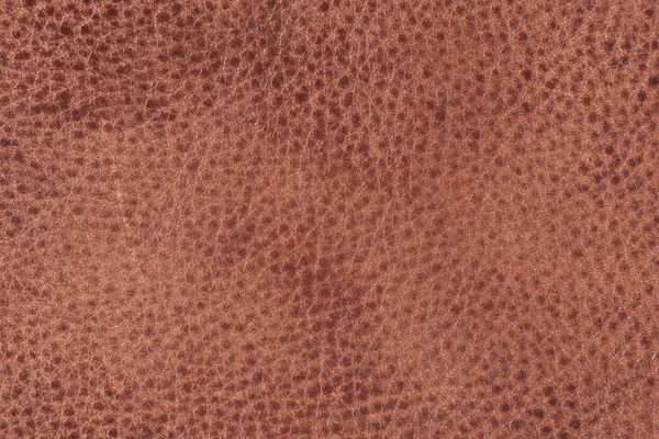 Hochauflösende Textur. Hintergrund. Haut. — Stockfoto