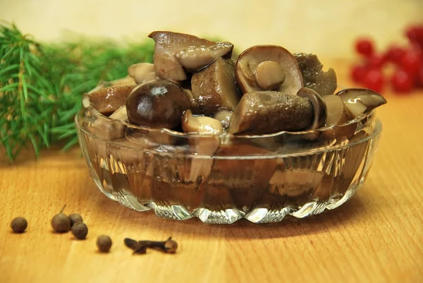 Marinovannoi grzyby w szklanym naczyniu płaski — Zdjęcie stockowe