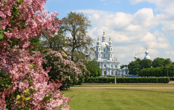 Smolny 성당 세인트 피터 스 버그 — 스톡 사진