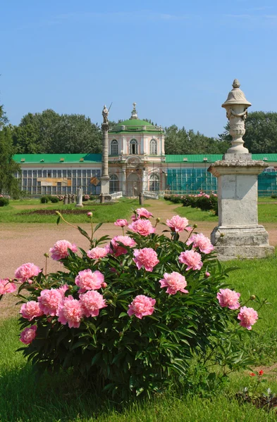 Orangerie in Kuskovo — 스톡 사진